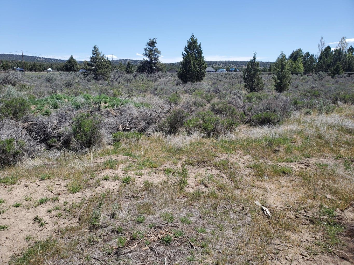 Photo of Modoc TL800 1 of 13