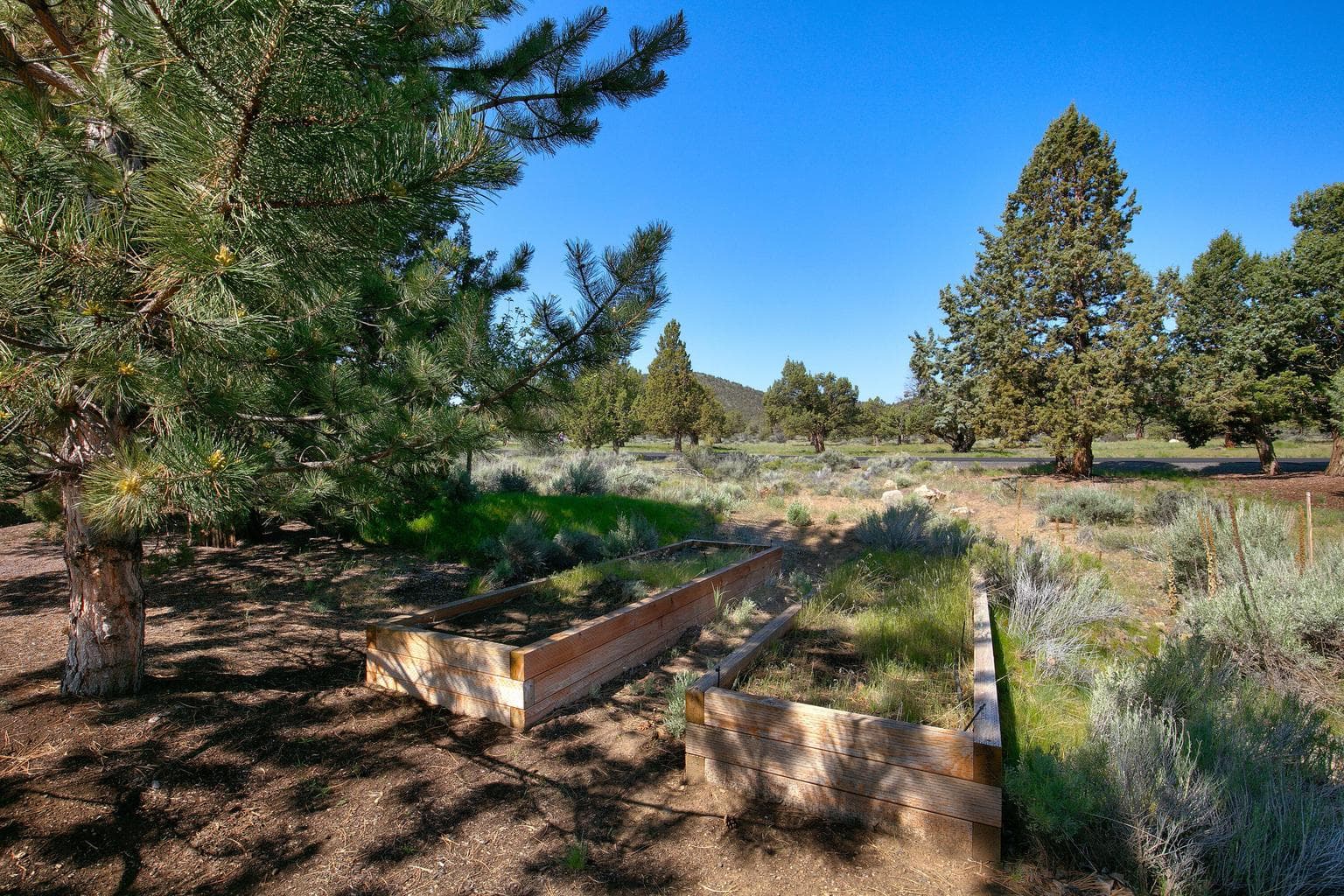 Photo of 9009 Merlin Drive 43 of 58
