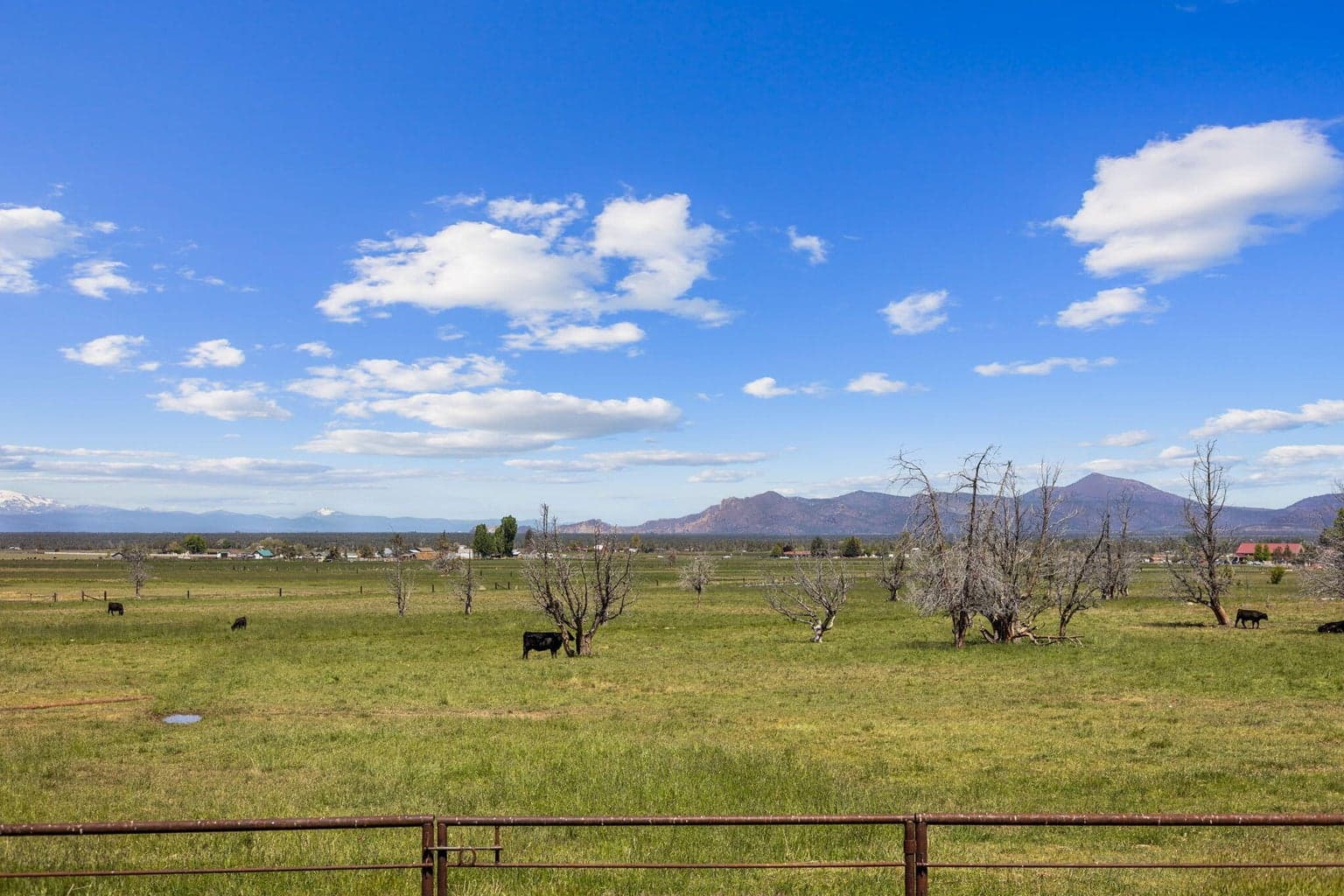 Photo of 13501 SW Riggs Road 74 of 93