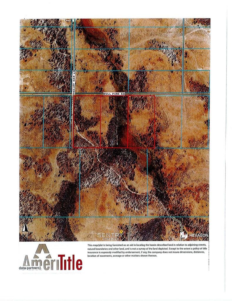 Photo of 0 Bull Pine 3 of 3