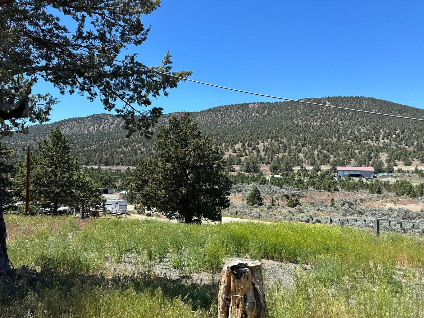 Photo of 16556 Antelope Creek 3 of 17