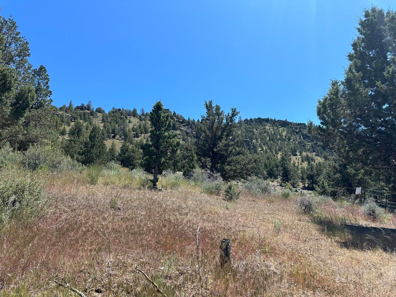 Photo of 16556 Antelope Creek 4 of 17