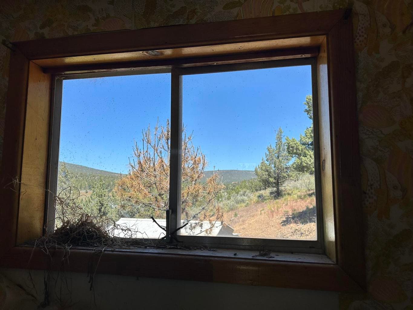 Photo of 16556 SE Antelope Creek Drive 15 of 17