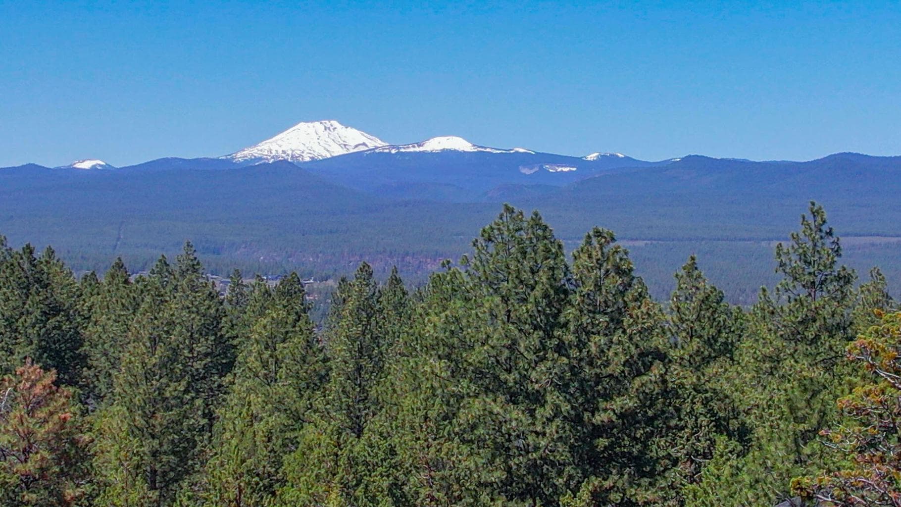 Photo of 2616 Gill 2 of 13
