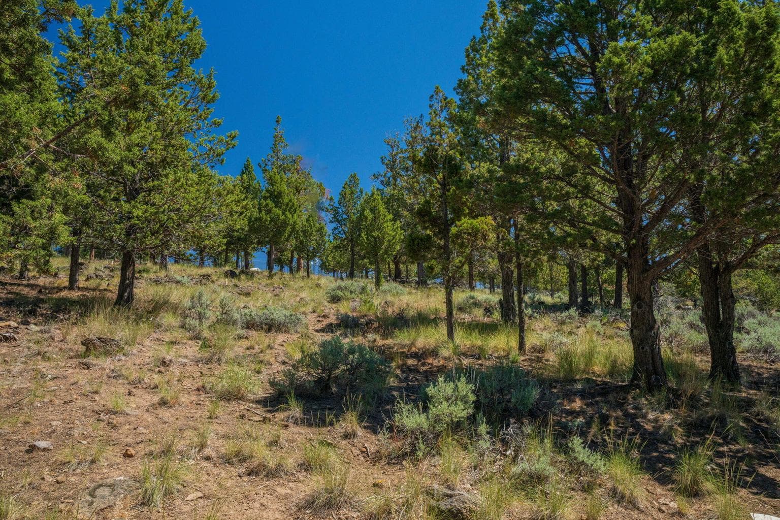 Exceptional 3/4 acre parcel on Awbrey Butte