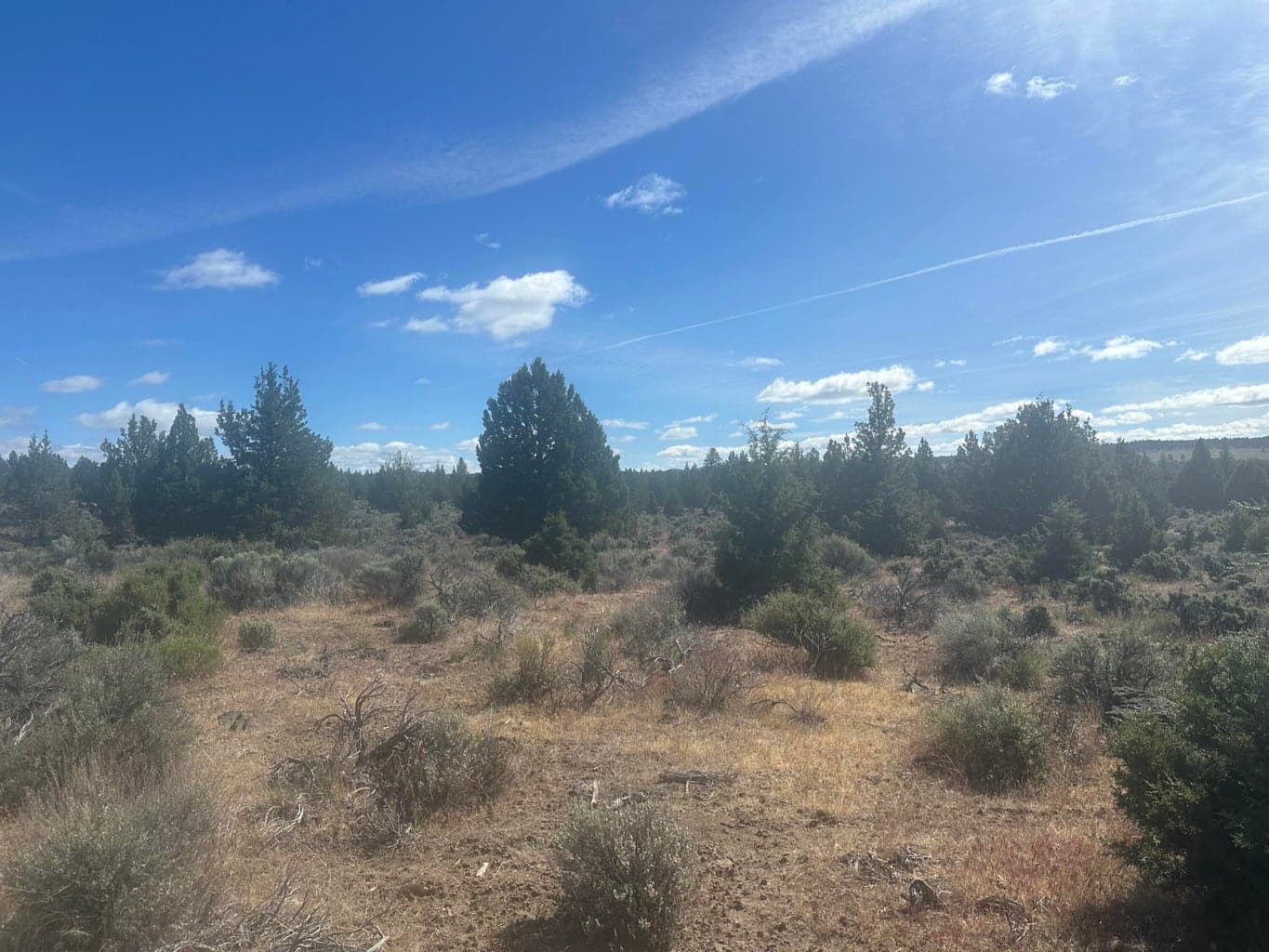 Hwy 31, Silver Lake, 97638