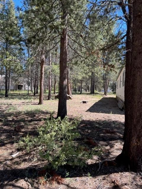 Photo of 53830 6th Street 1 of 52