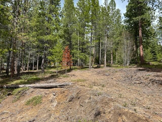 43 Clear Spring, Crescent Lake, 97733