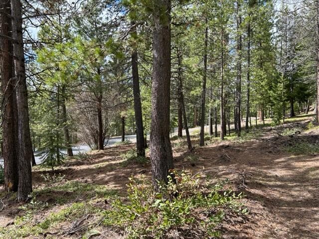 Photo of 43 Clear Spring 3 of 6