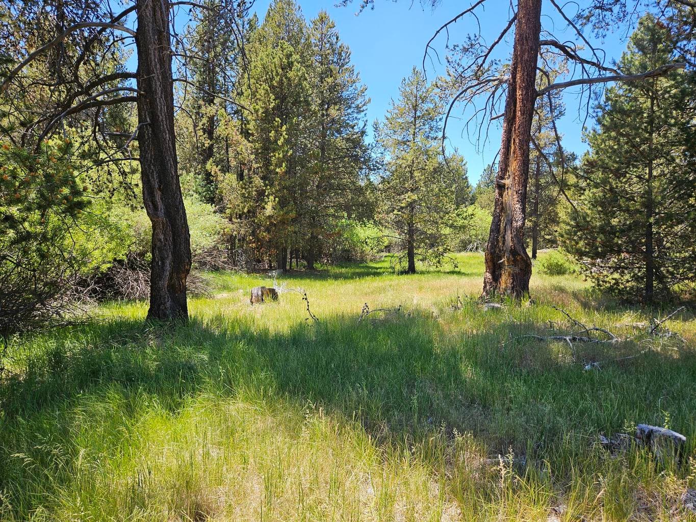 Photo of 15466 15472 Cascade DR 3 of 11