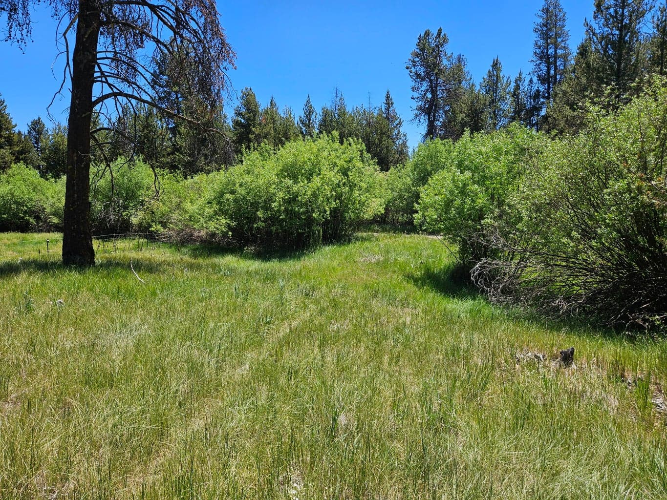 Photo of 15466 15472 Cascade DR 1 of 11