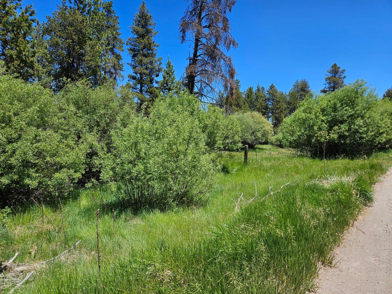 Photo of 15466 15472 Cascade DR 6 of 11