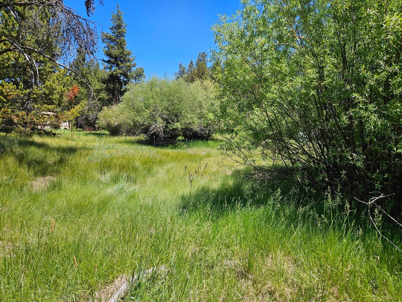 Photo of 15466 15472 Cascade DR 7 of 11