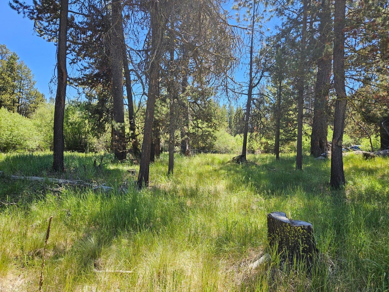 Photo of 15466 15472 Cascade DR 9 of 11