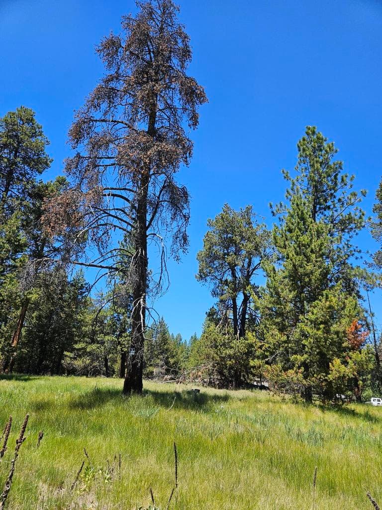 Photo of 15466 15472 Cascade DR 8 of 11