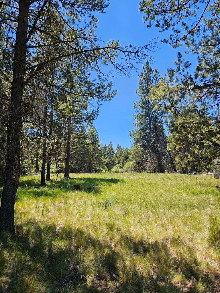 Photo of 15466 15472 Cascade DR 10 of 11