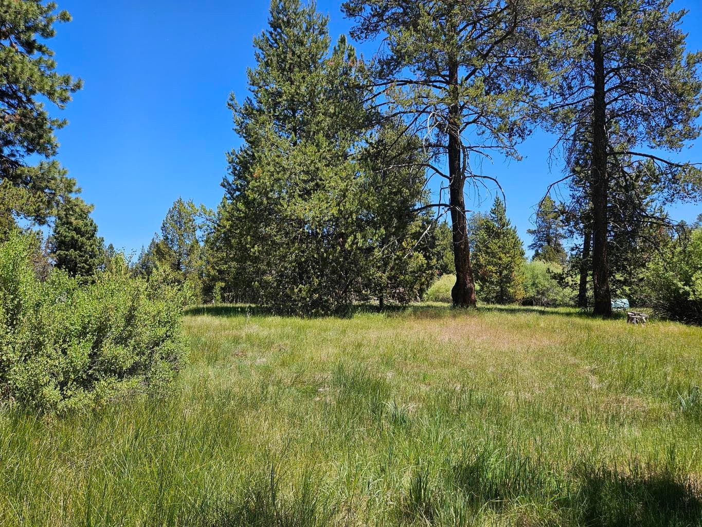 Photo of 15466 15472 Cascade DR 2 of 11