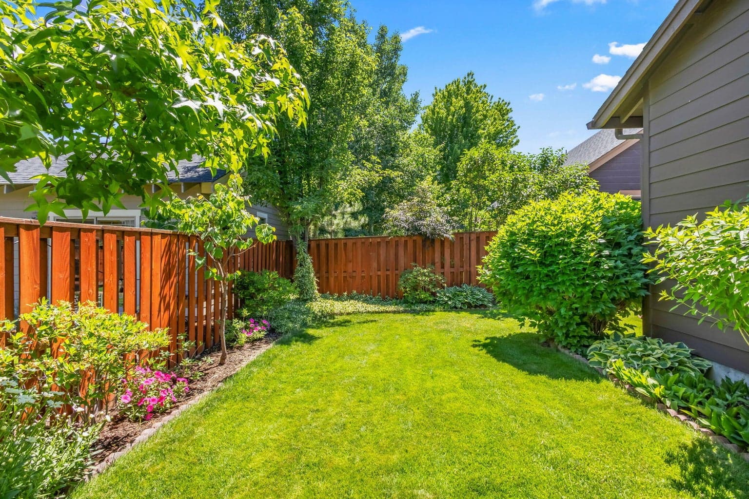 Lush backyard with established landscaping