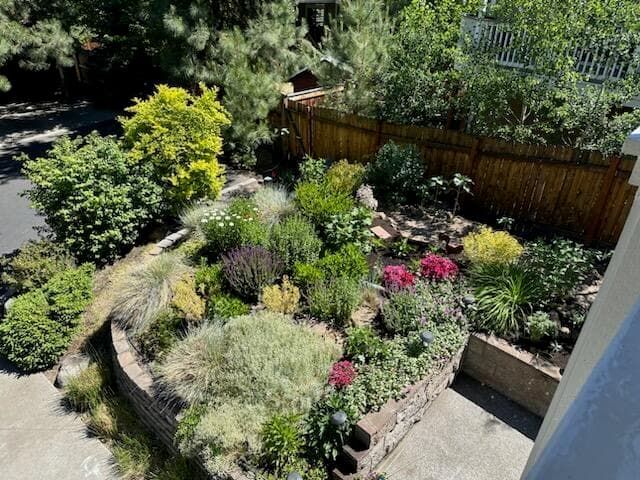 Low maintenance yard