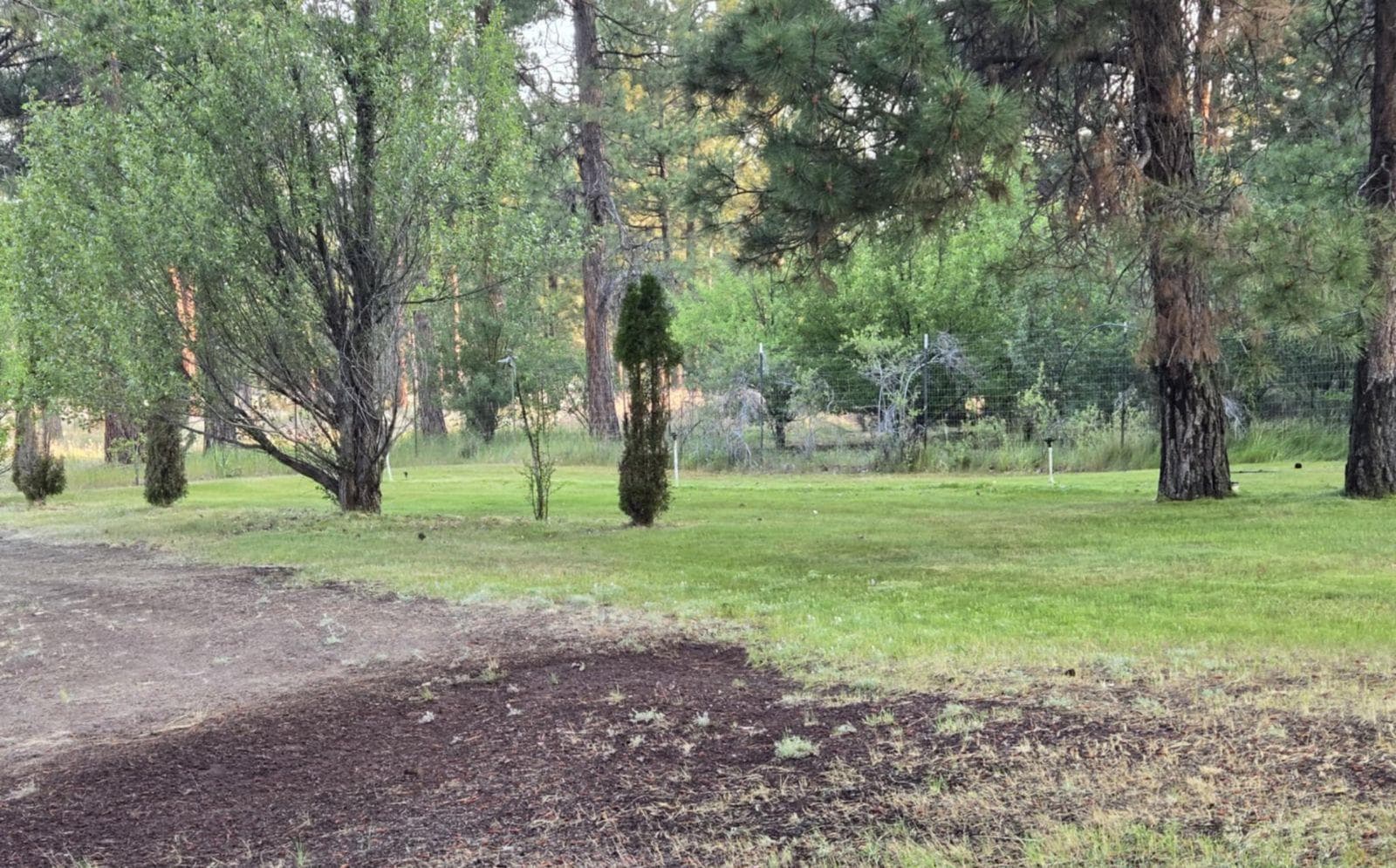 Photo of 14914 Sprague River 5 of 42