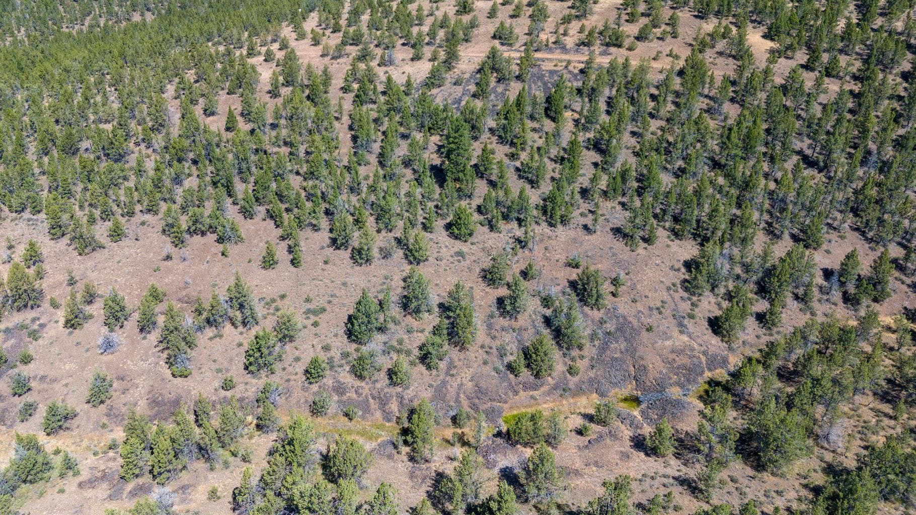 Photo of TL2400 SE Wolf Road 7 of 21