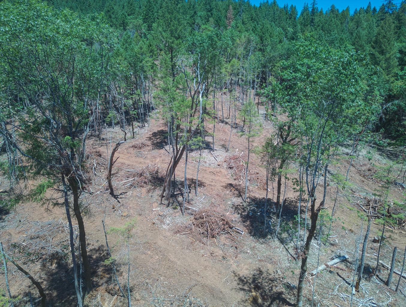 Photo of 222 Thornridge 4 of 12