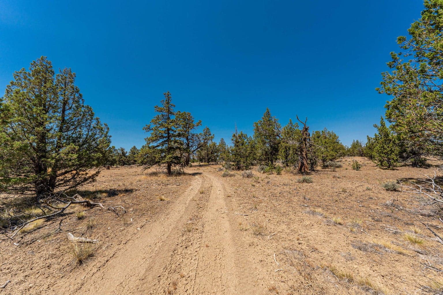 Photo of 65600 Highway 20 5 of 53