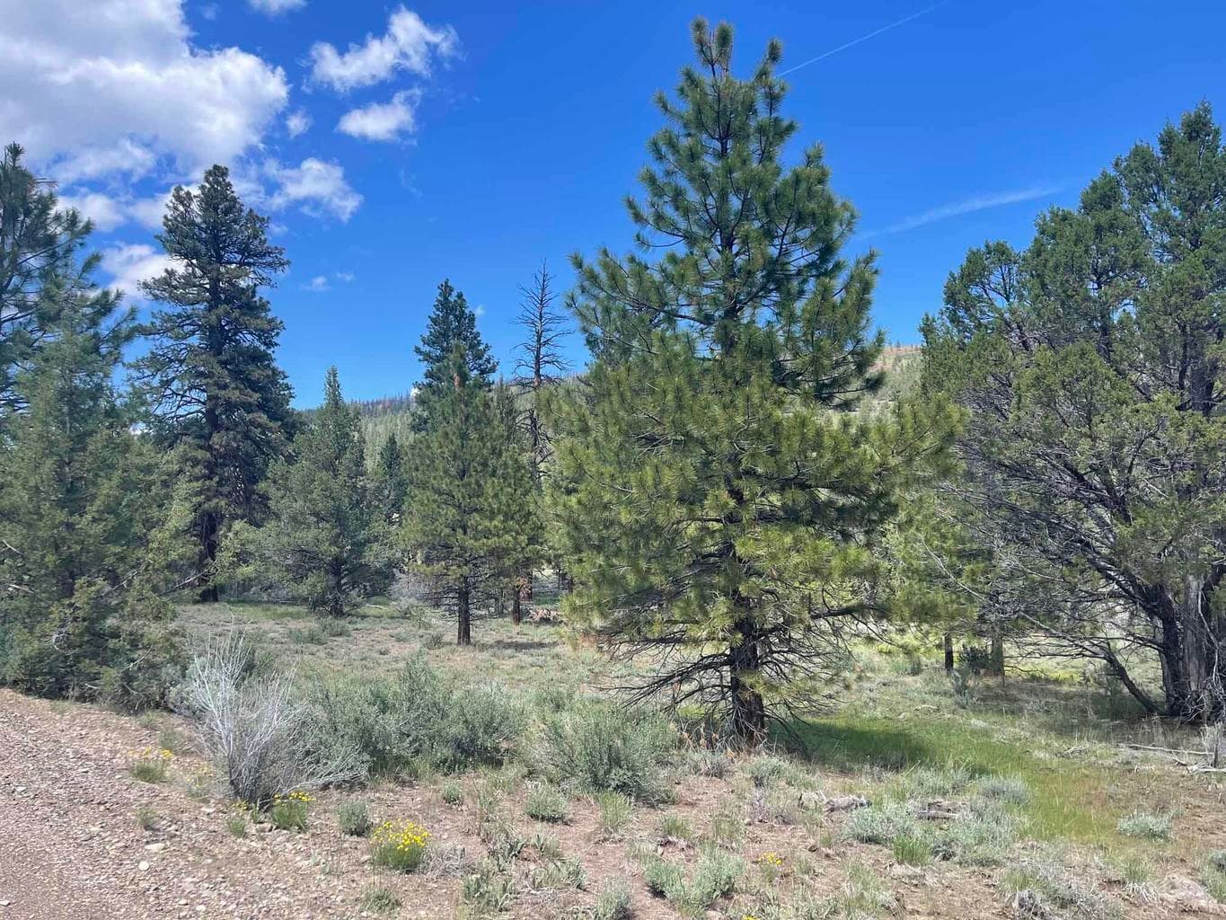 HWY 140, Lakeview, 97630