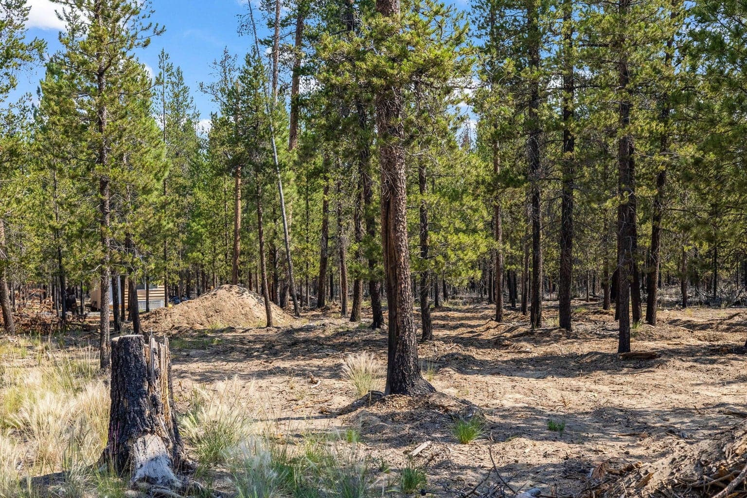 Photo of Sun Forest Dr 4 of 12