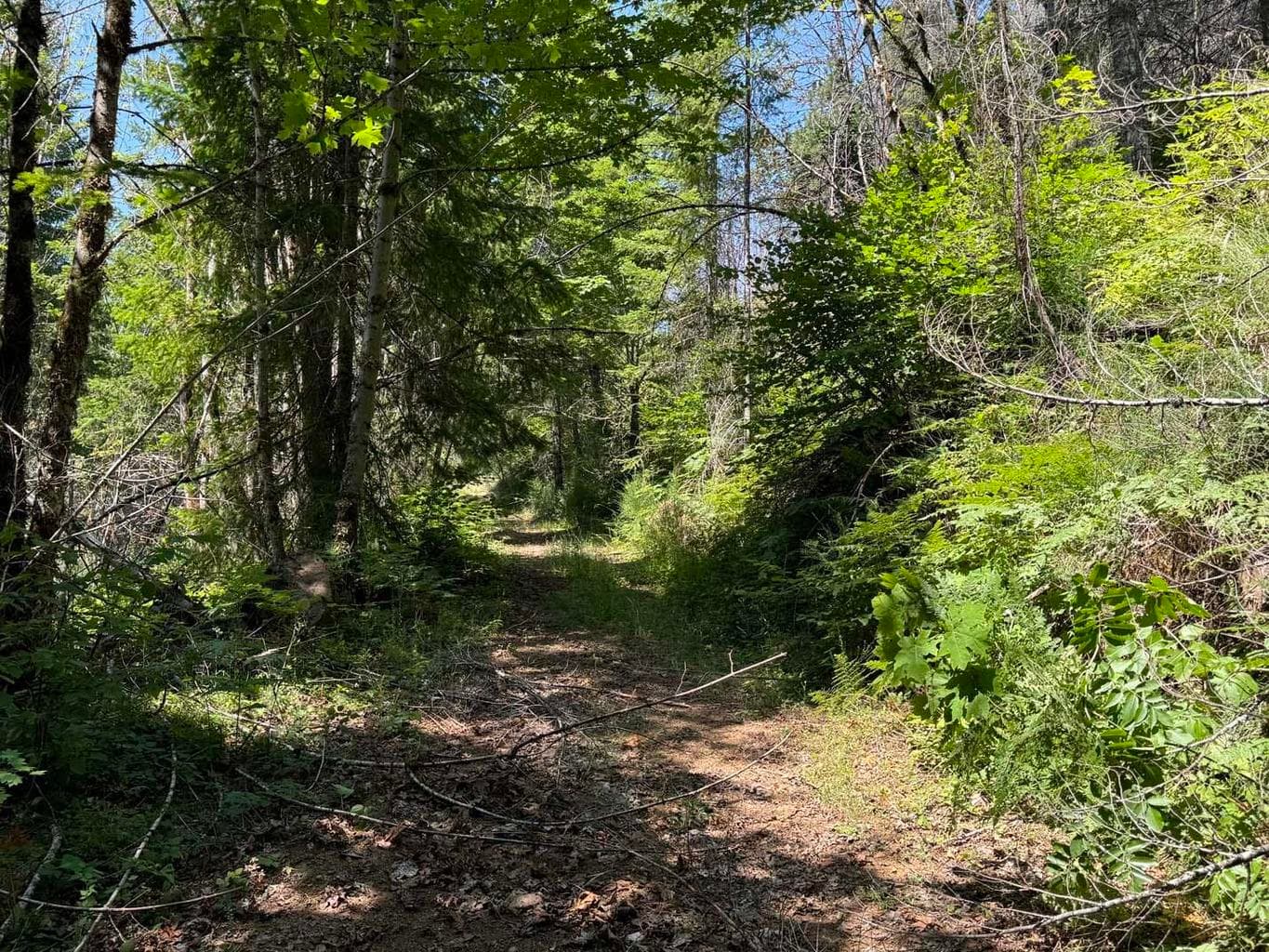 N. Santiam Hwy SE 22, Detroit, 97342