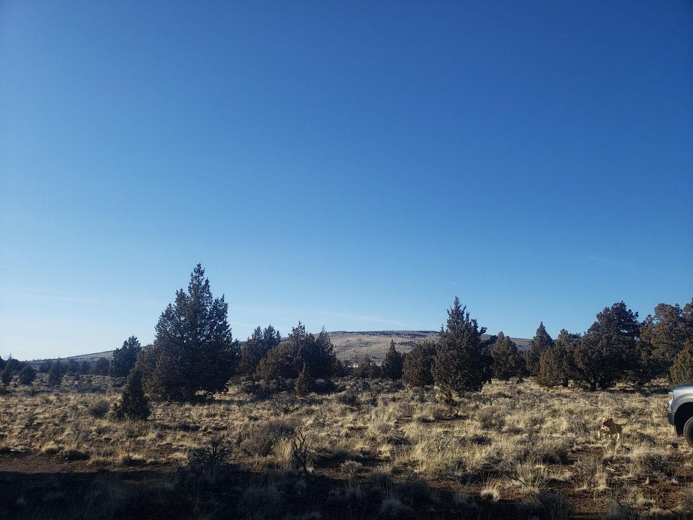 Lot 800 GoldenView Ranch