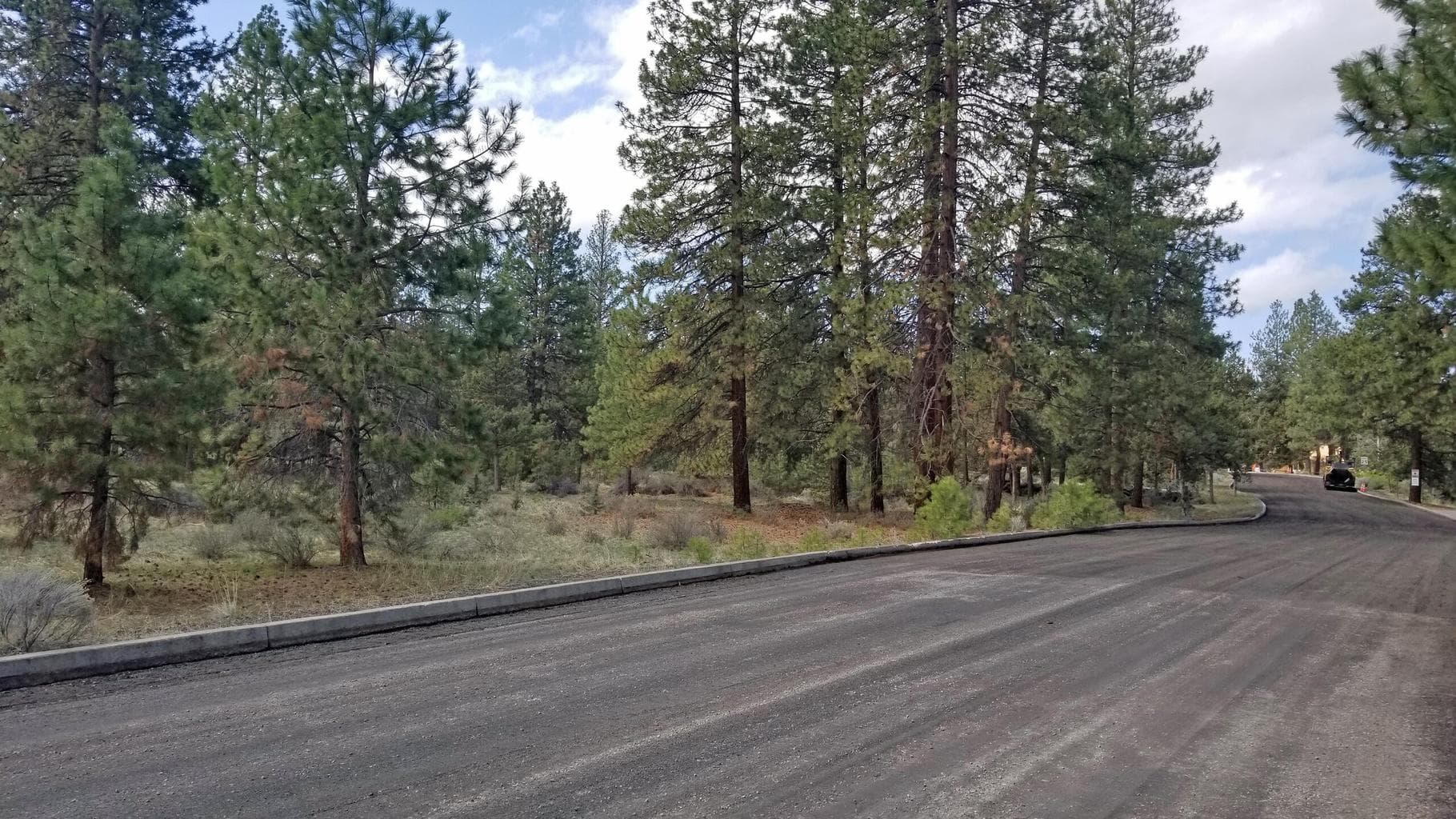 Photo of Pinebrook 2 of 8
