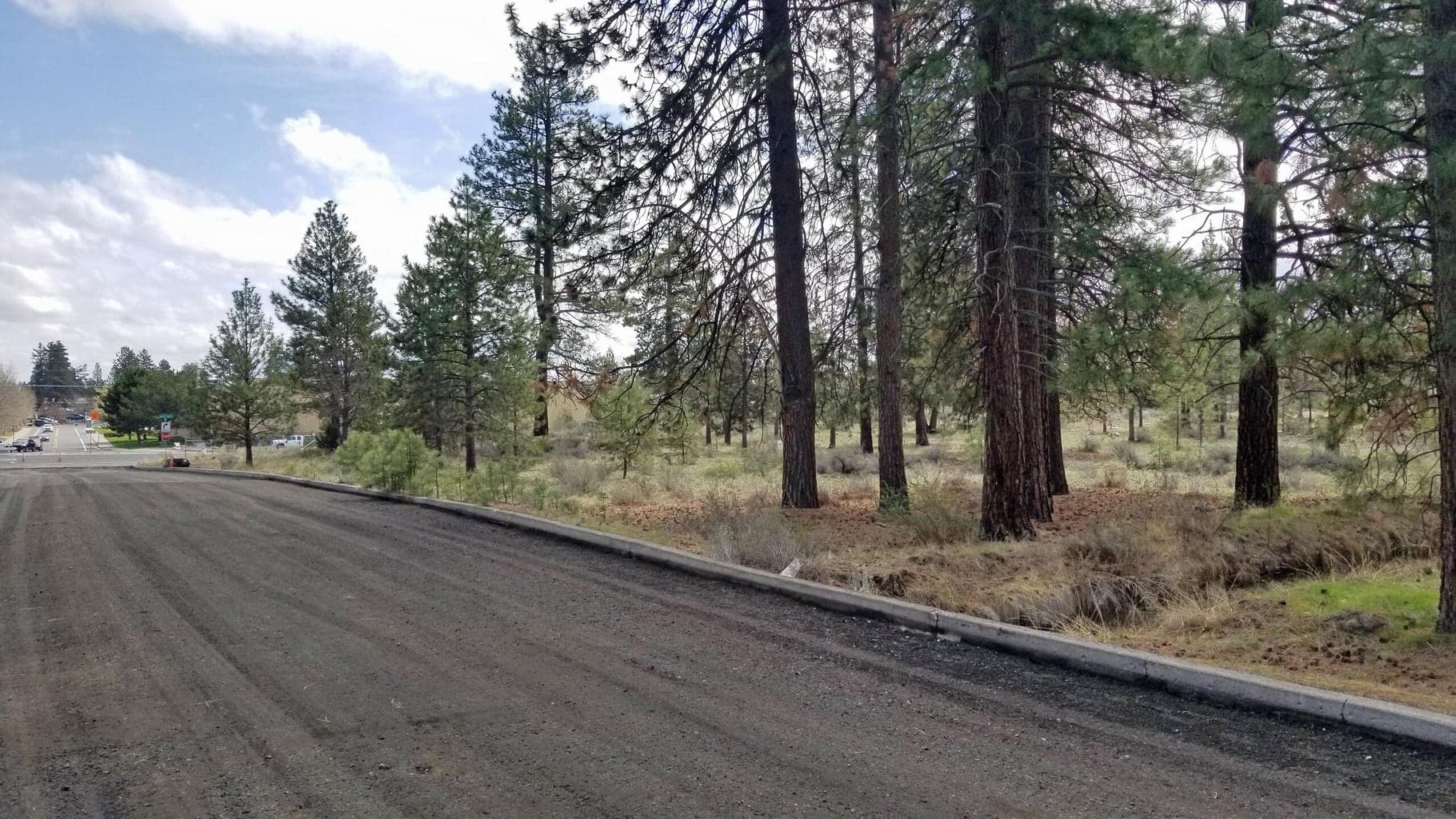 Photo of Pinebrook 3 of 8