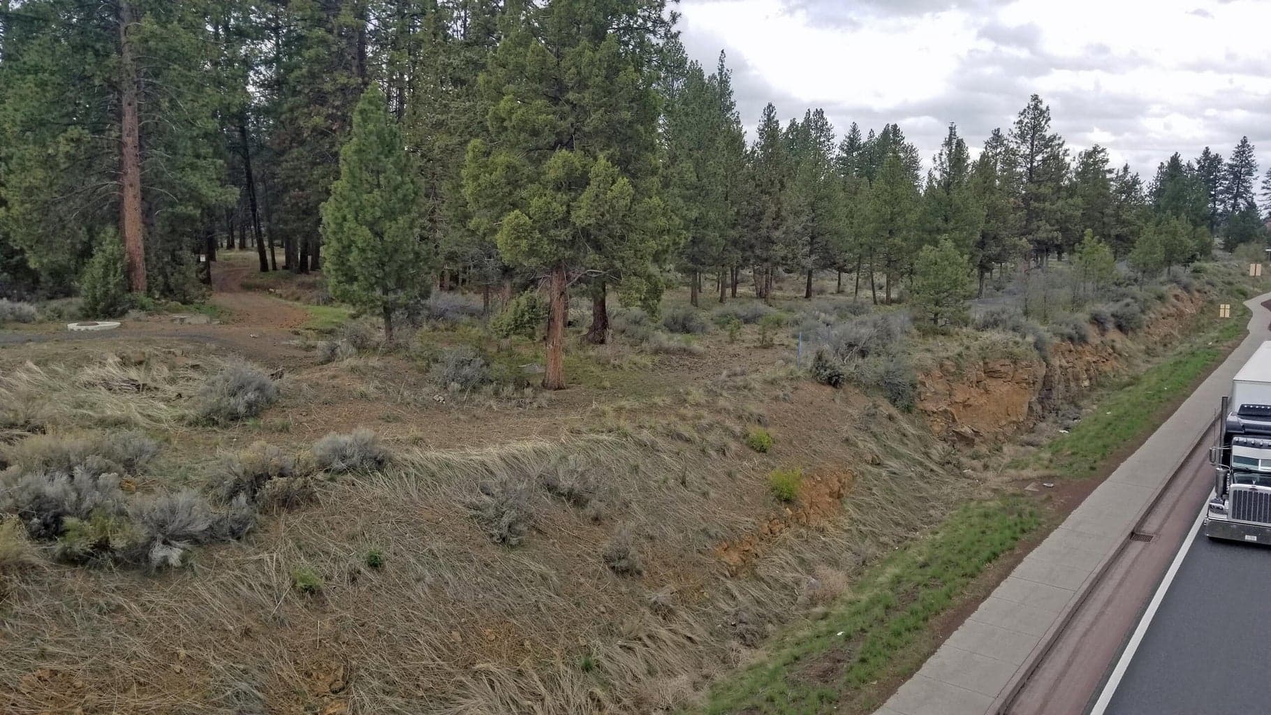 Photo of Pinebrook 4 of 8