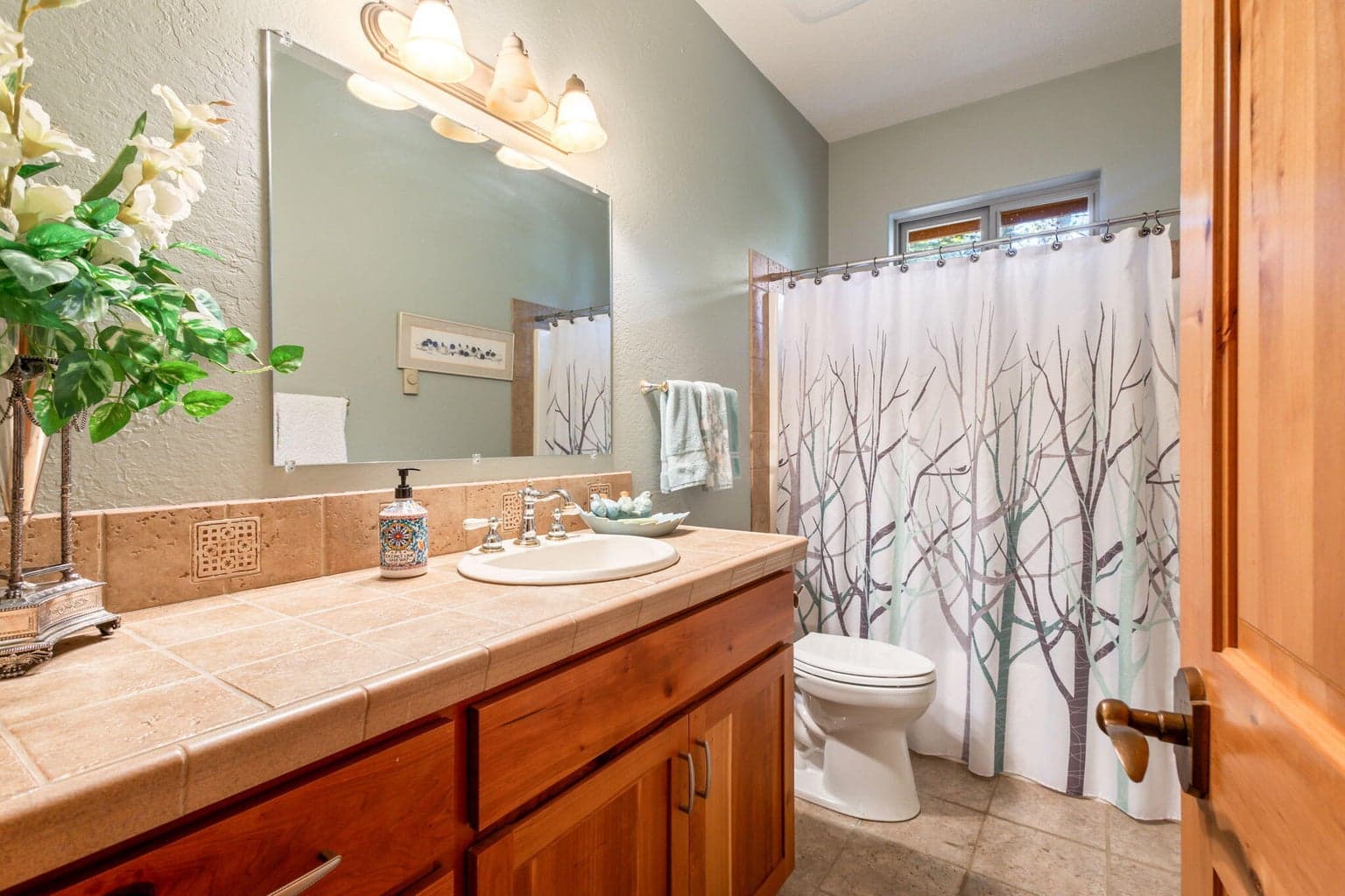 Photo of 17064 Lady Caroline Drive 15 of 30