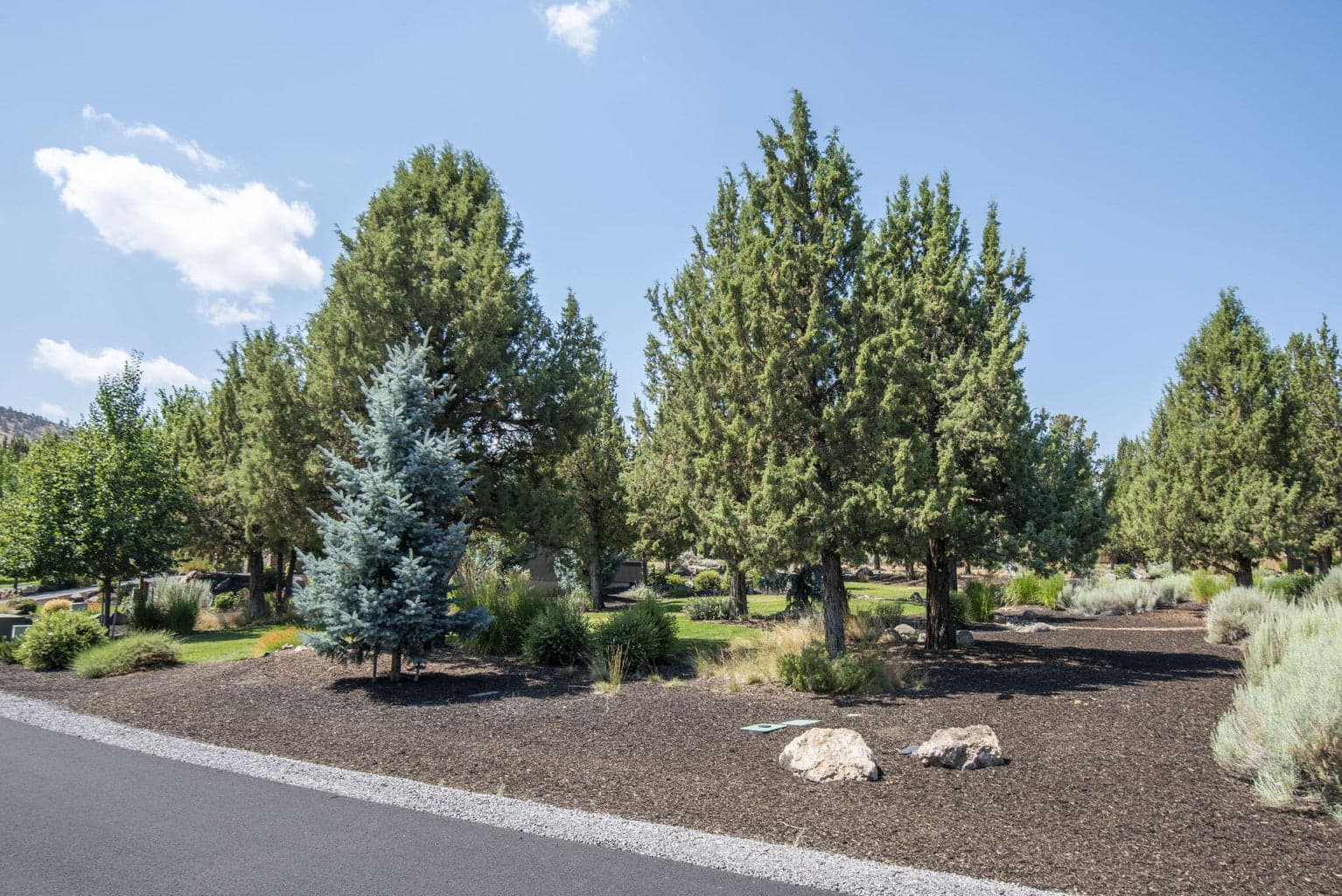 Photo of 285 Vista Rim Drive 7 of 13