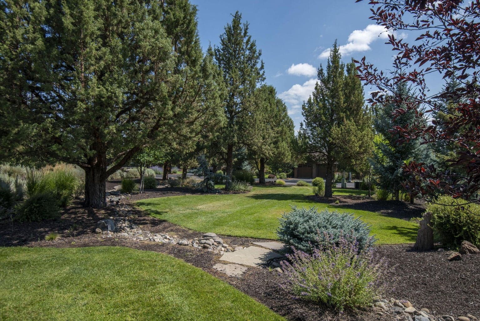 Photo of 285 Vista Rim Drive 8 of 13