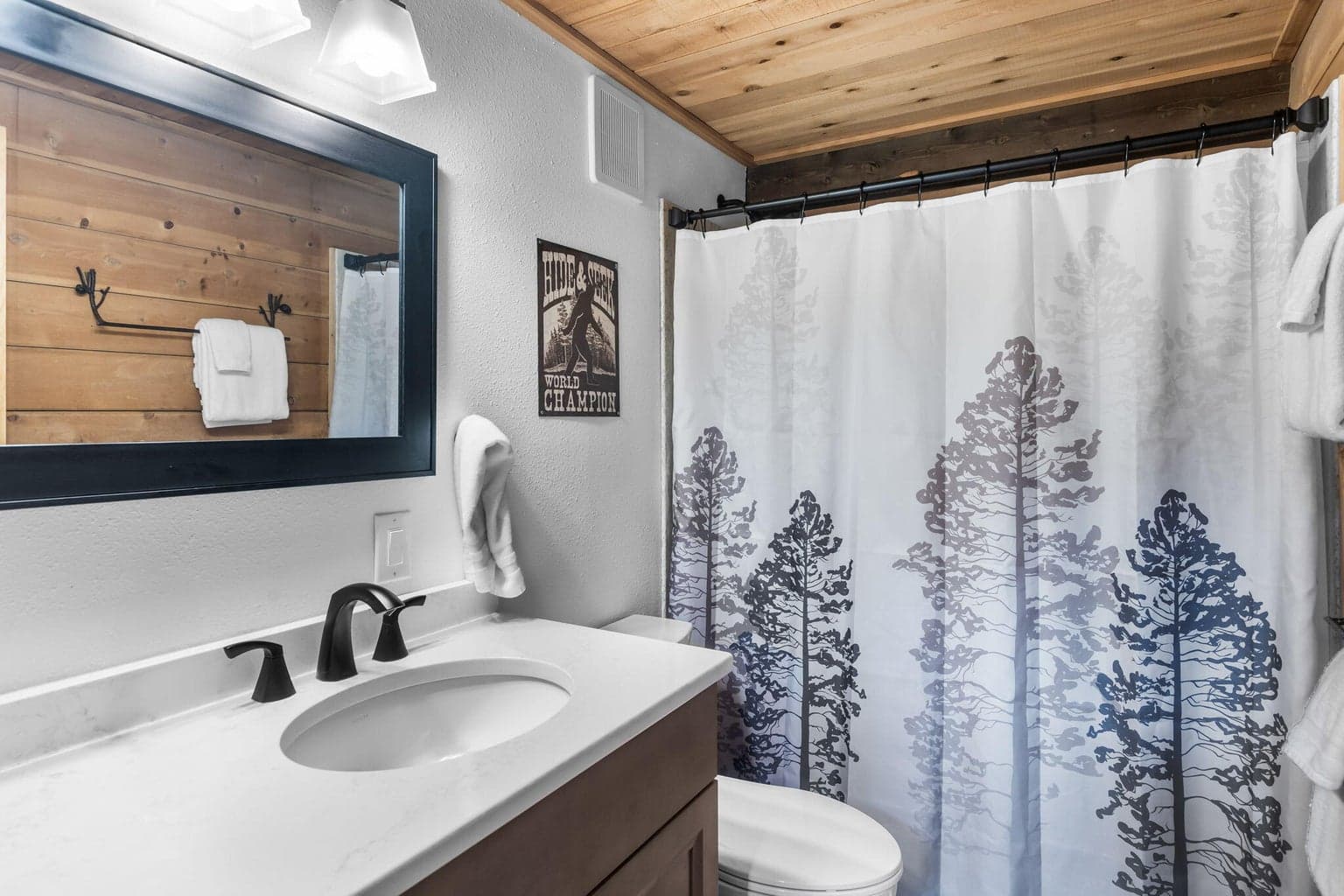 Photo of 17623 Cluster Cabin Lane 14 of 44