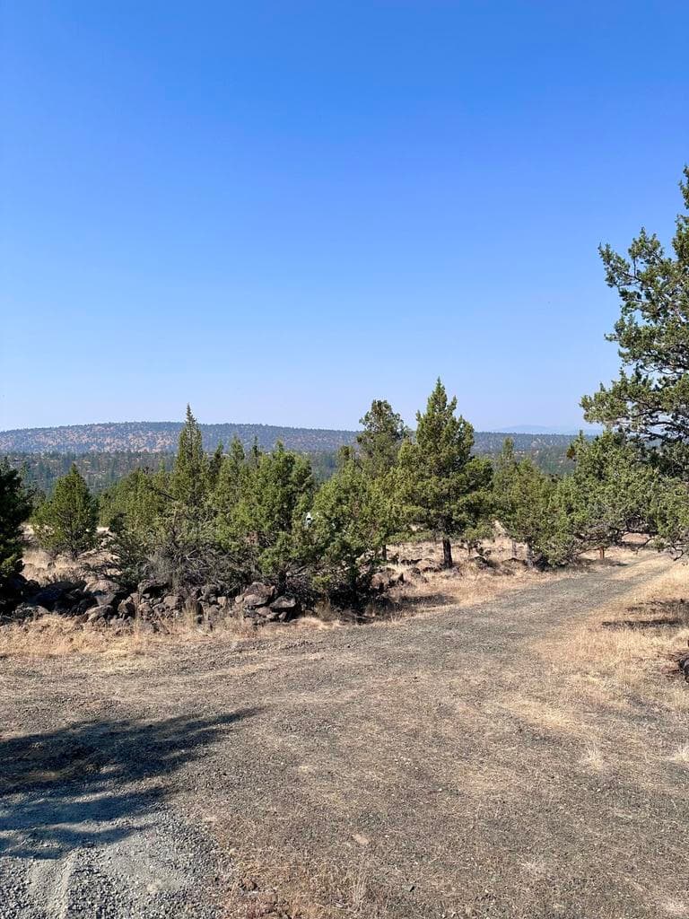View of property