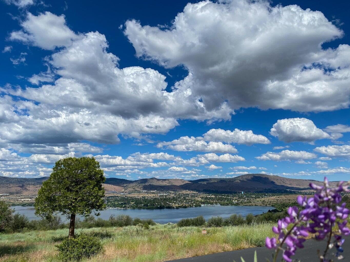 821 Bailey Mountain