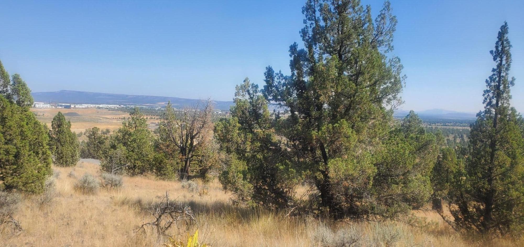 Photo of TL1000 Pinecrest 3 of 7