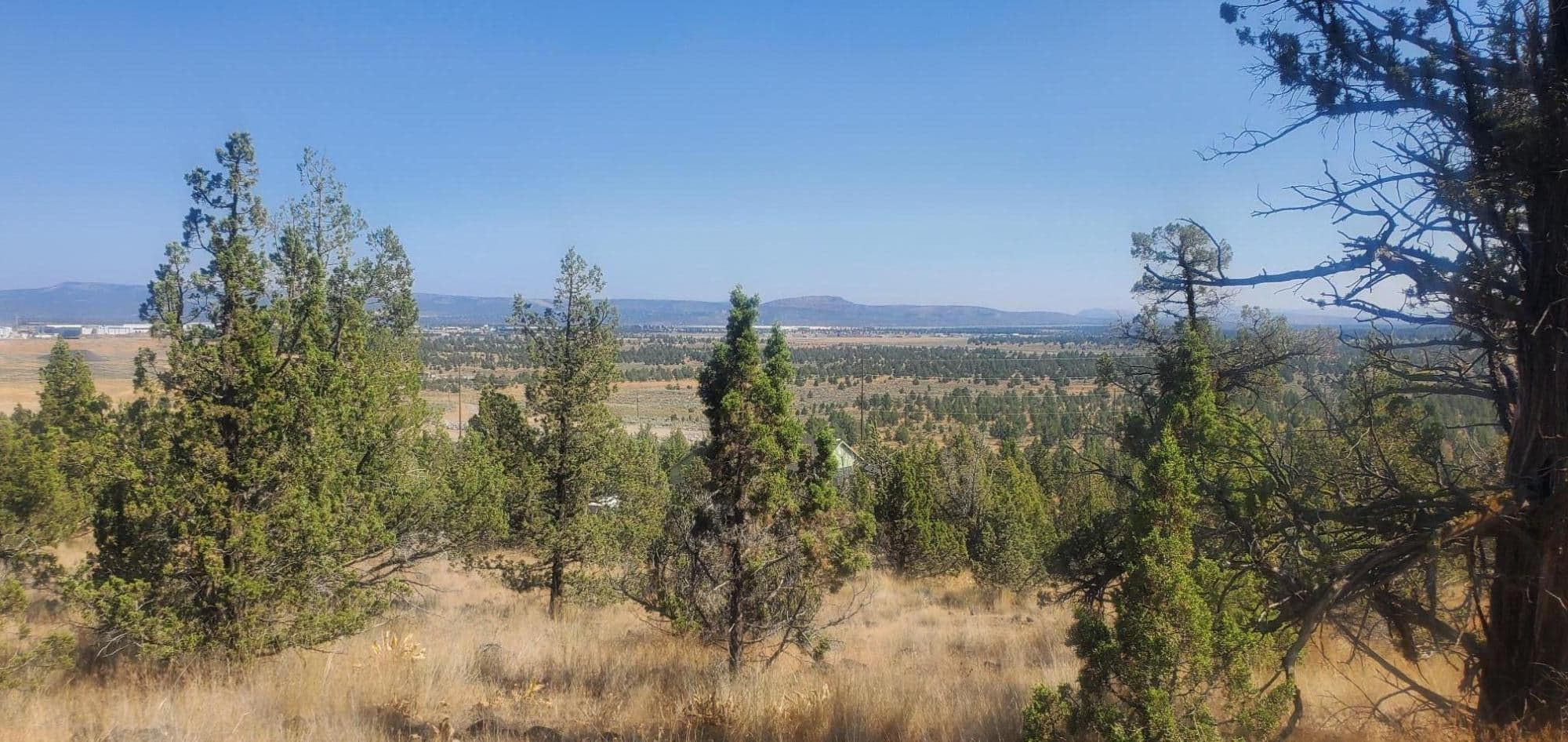 Photo of TL1000 Pinecrest 1 of 7