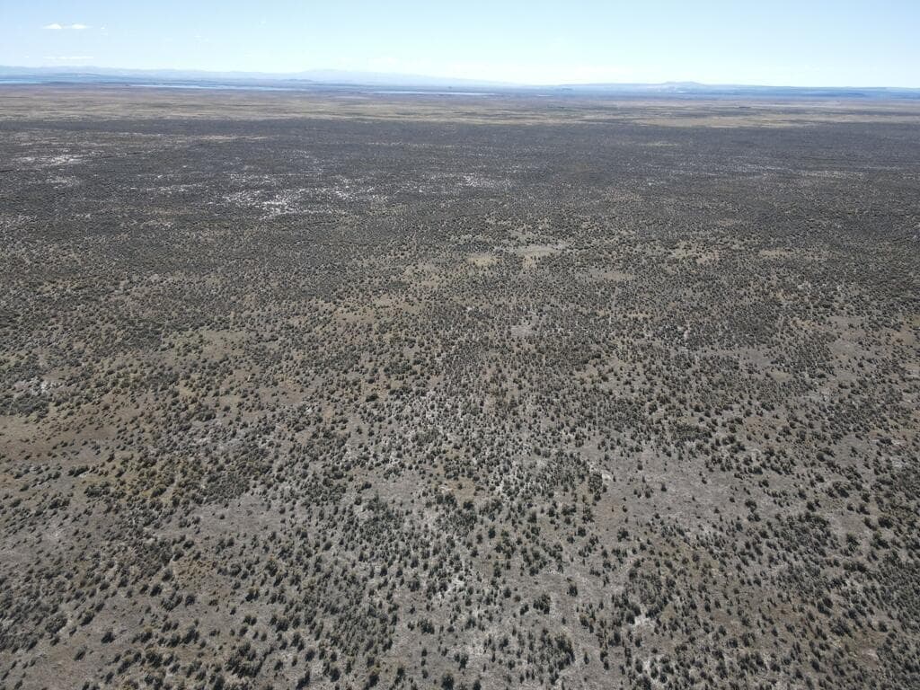 Photo of Ruh-Red 2 of 8