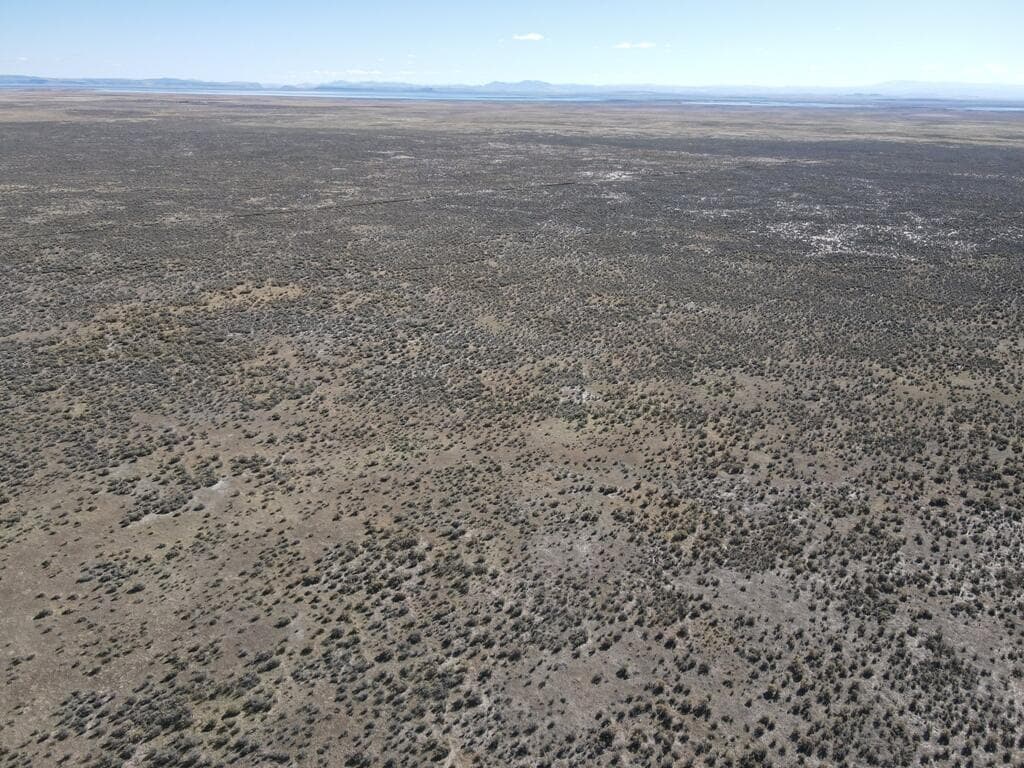 Photo of Ruh-Red 4 of 8