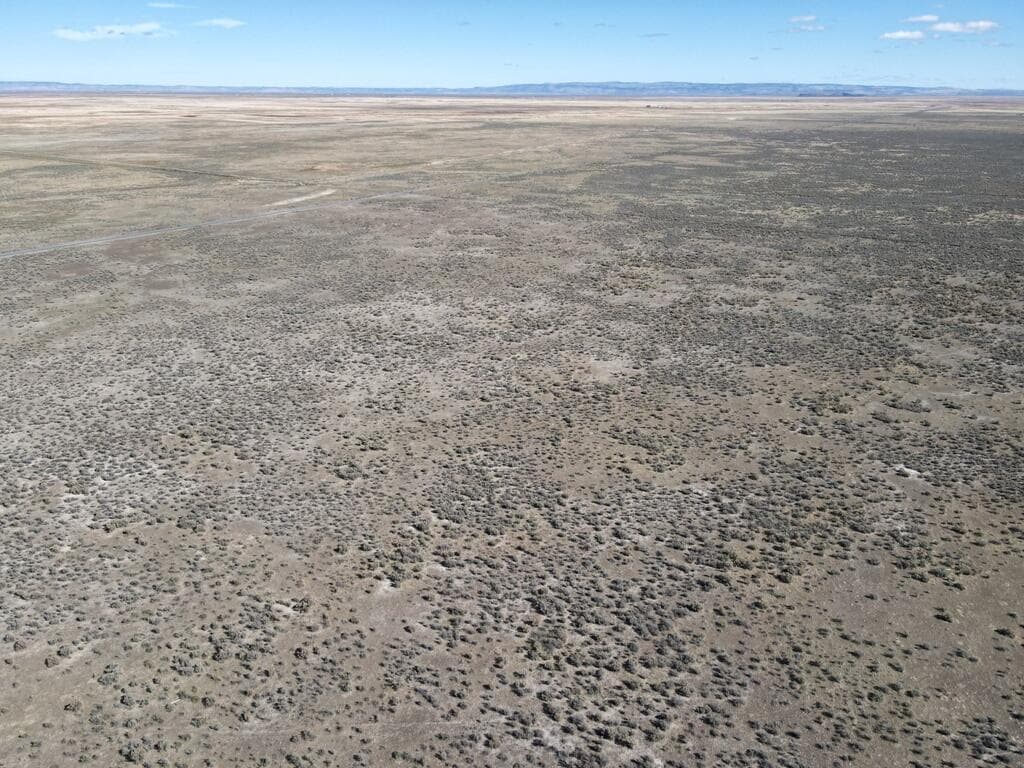 Photo of Ruh-Red 5 of 8