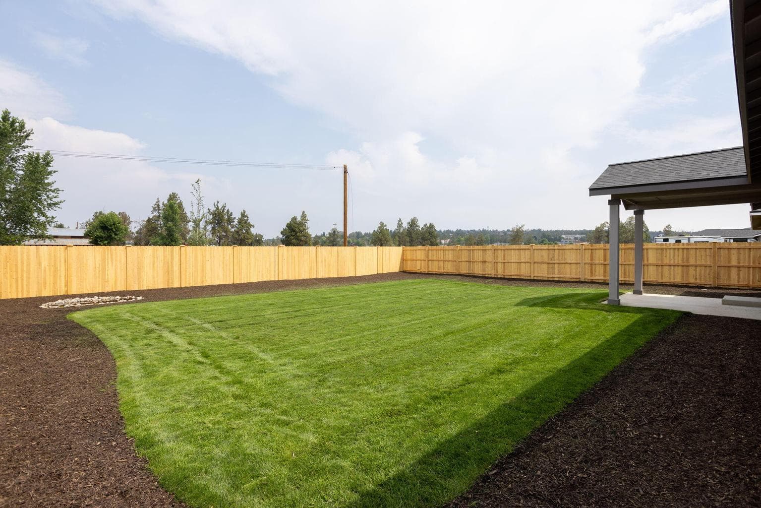 Backyard looking NE