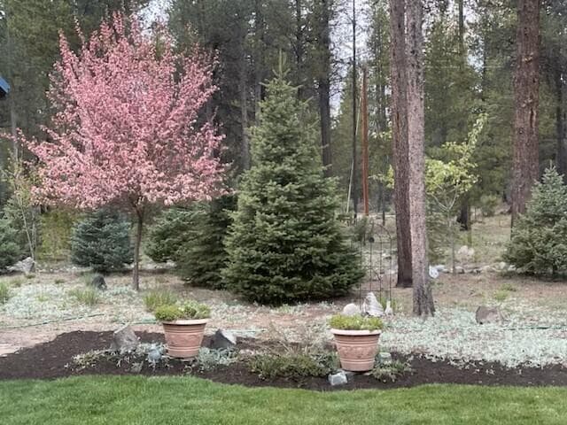Photo of 15611 Deedon Road 6 of 22