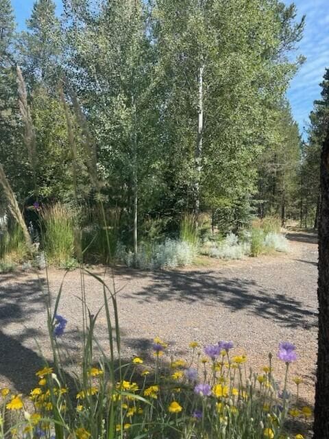 Photo of 15611 Deedon Road 7 of 22
