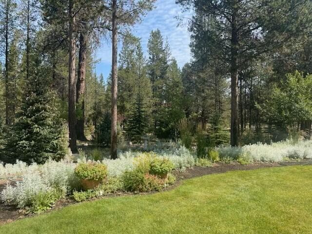 Photo of 15611 Deedon Road 8 of 22