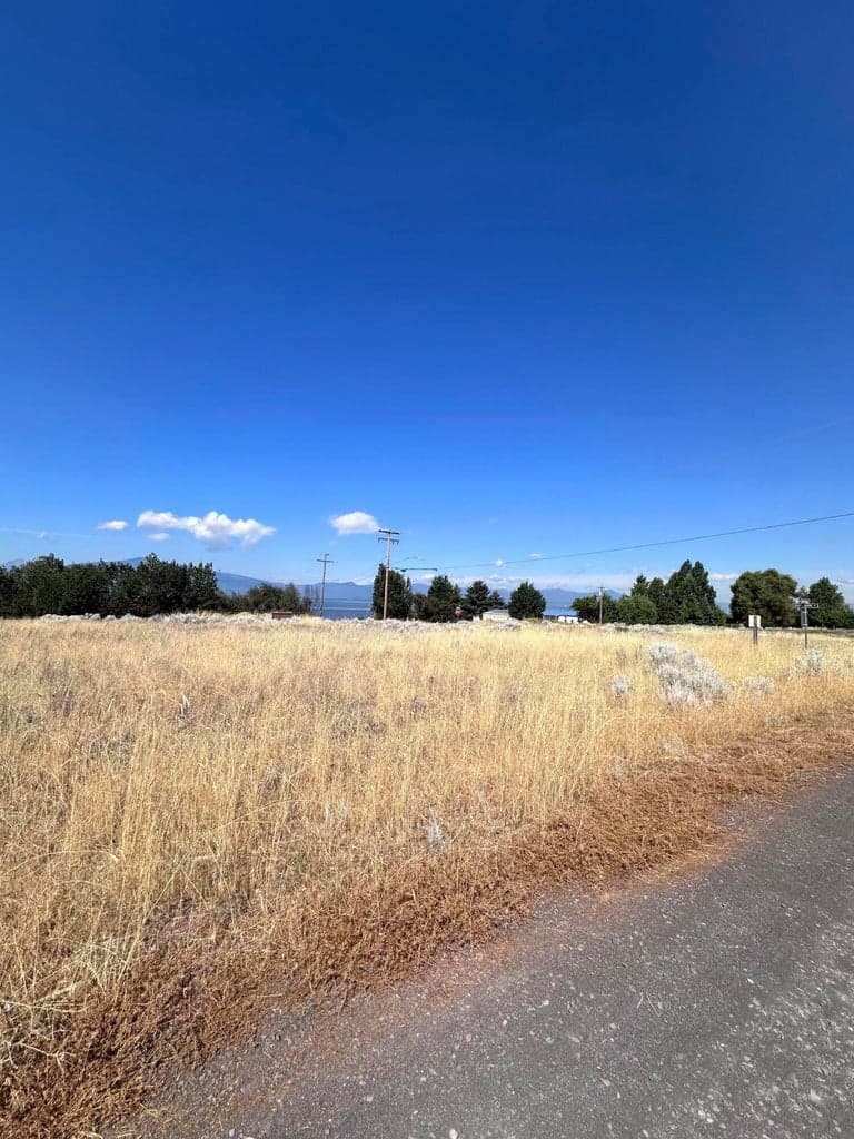 View from the road
